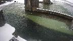 yamashirozeki2-20250224084027.jpg