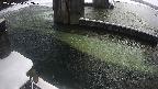 yamashirozeki2-20250224102027.jpg
