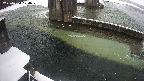yamashirozeki2-20250224120029.jpg