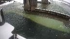 yamashirozeki2-20250224152030.jpg