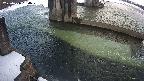 yamashirozeki2-20250226164030.jpg