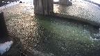 yamashirozeki2-20250301064031.jpg