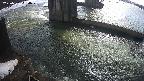 yamashirozeki2-20250301094031.jpg