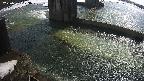 yamashirozeki2-20250301103031.jpg