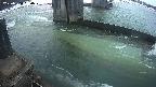 yamashirozeki2-20250304060030.jpg