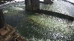 yamashirozeki2-20250304102032.jpg