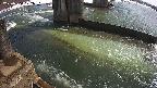 yamashirozeki2-20250304122030.jpg