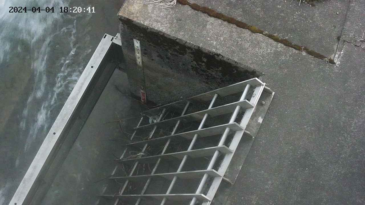 yamashirozeki3-20240404182042.jpg