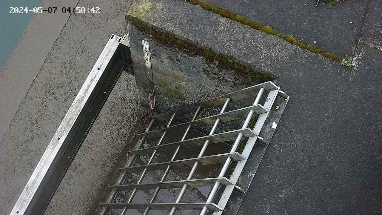 yamashirozeki3-20240507045044.jpg