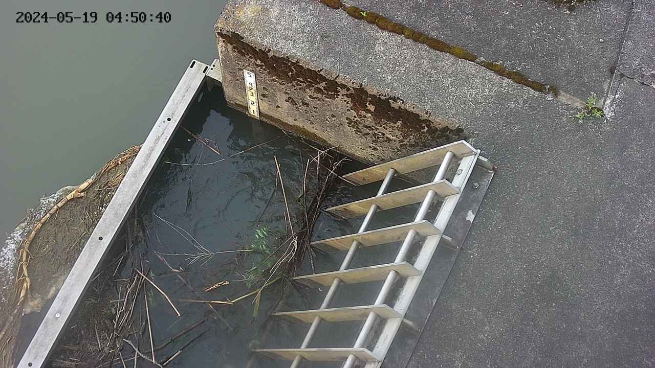 yamashirozeki3-20240519045042.jpg