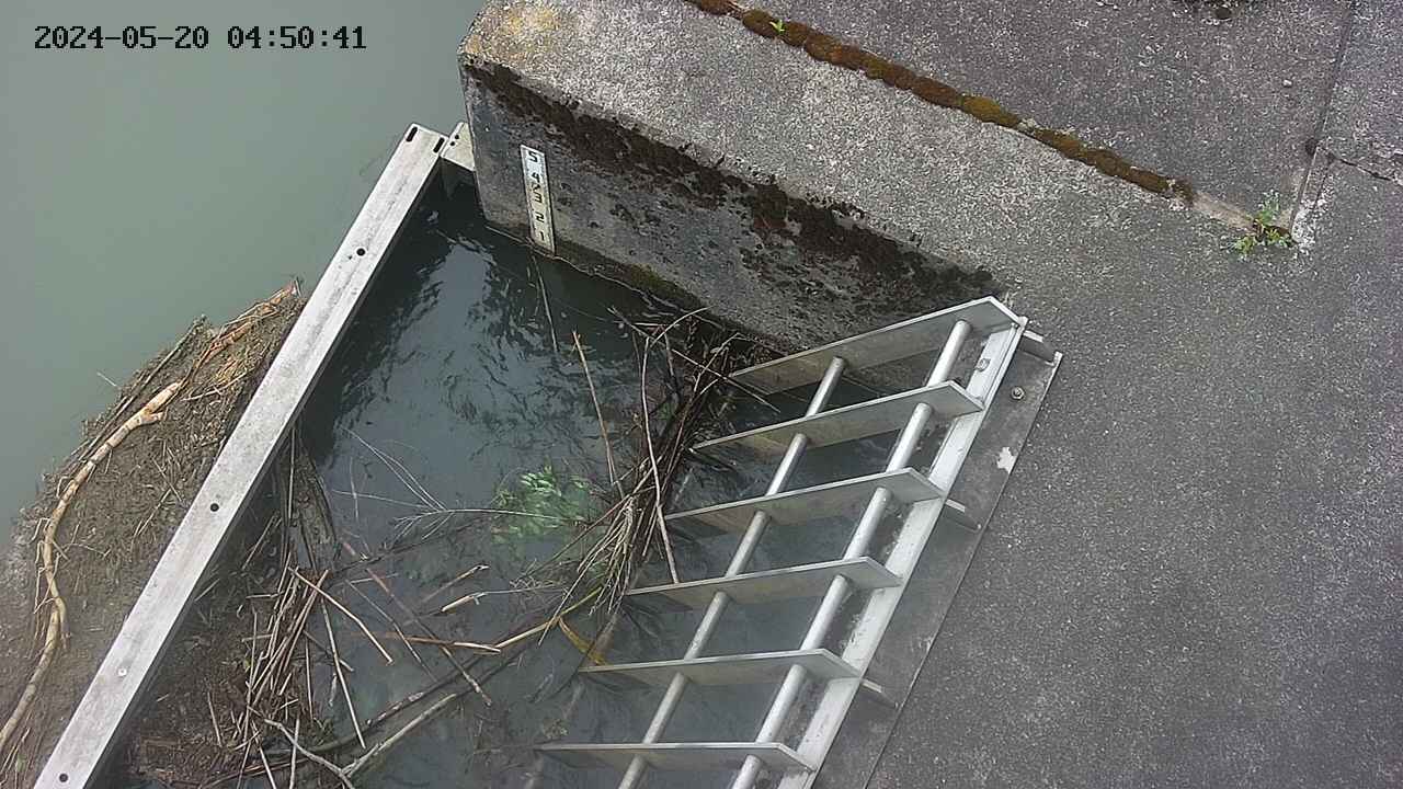 yamashirozeki3-20240520045043.jpg