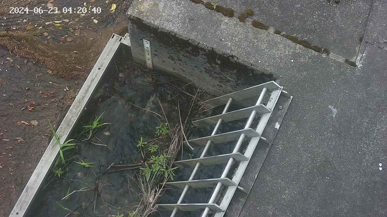 yamashirozeki3-20240623042041.jpg