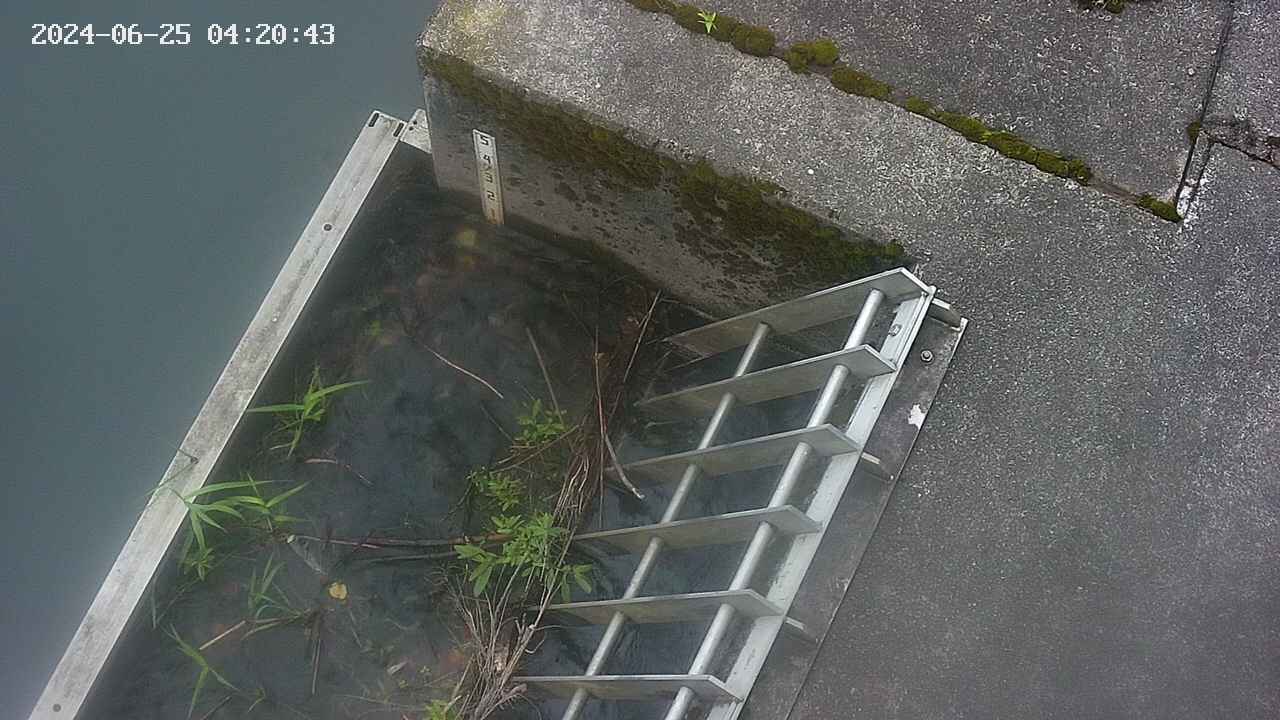 yamashirozeki3-20240625042044.jpg