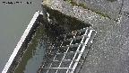 yamashirozeki3-20240707131043.jpg