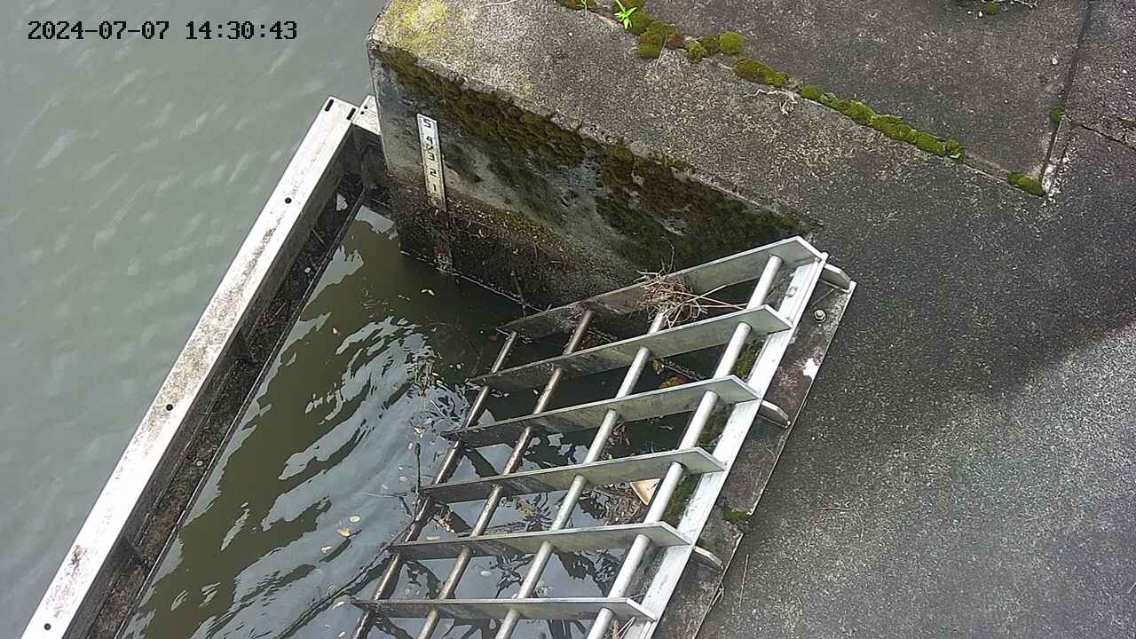 yamashirozeki3-20240707143044.jpg