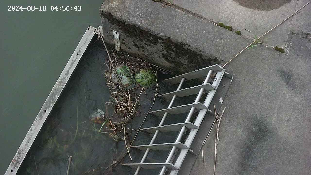 yamashirozeki3-20240818045044.jpg