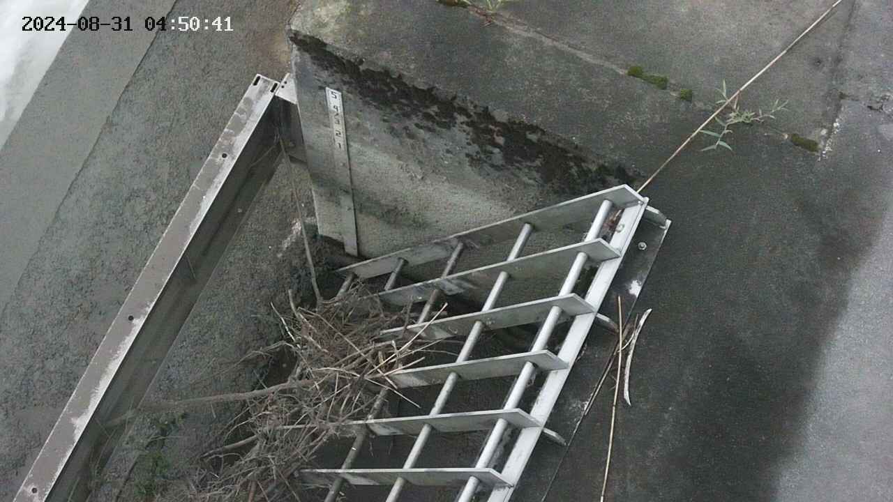 yamashirozeki3-20240831045042.jpg