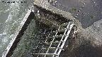 yamashirozeki3-20250314111045.jpg