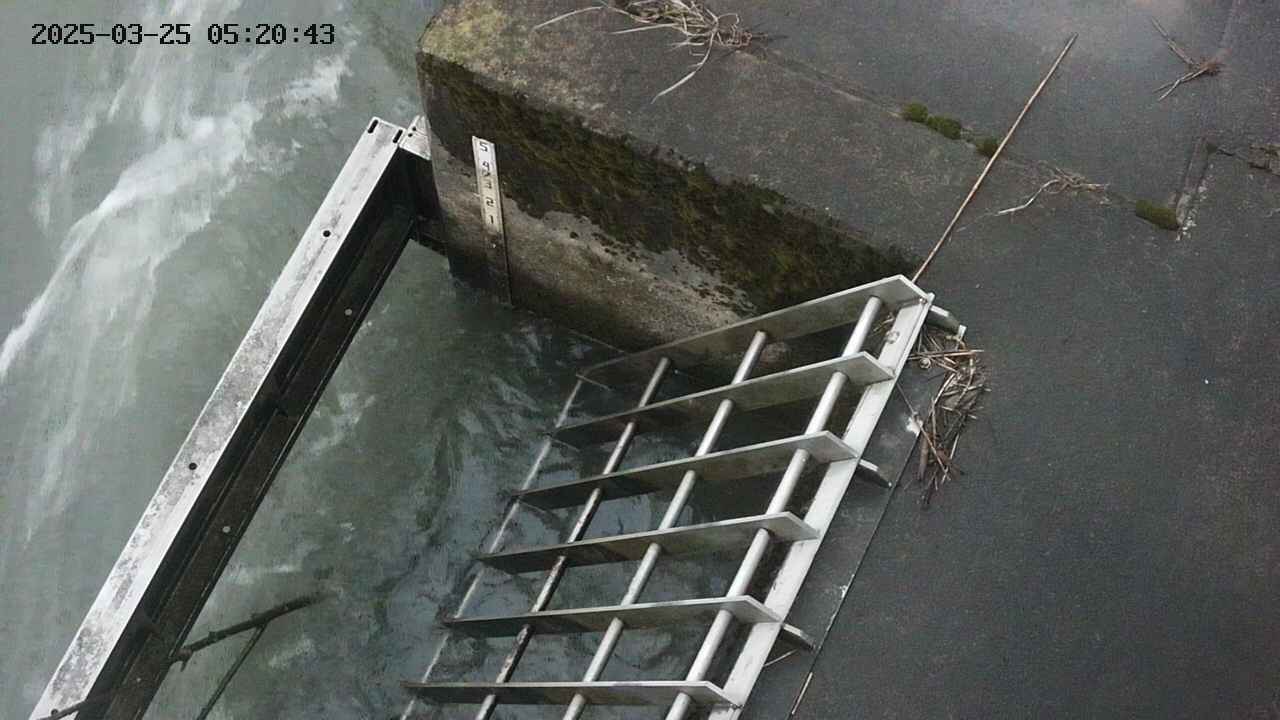 yamashirozeki3-20250325052044.jpg