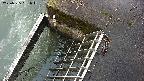 yamashirozeki3-20250325061045.jpg