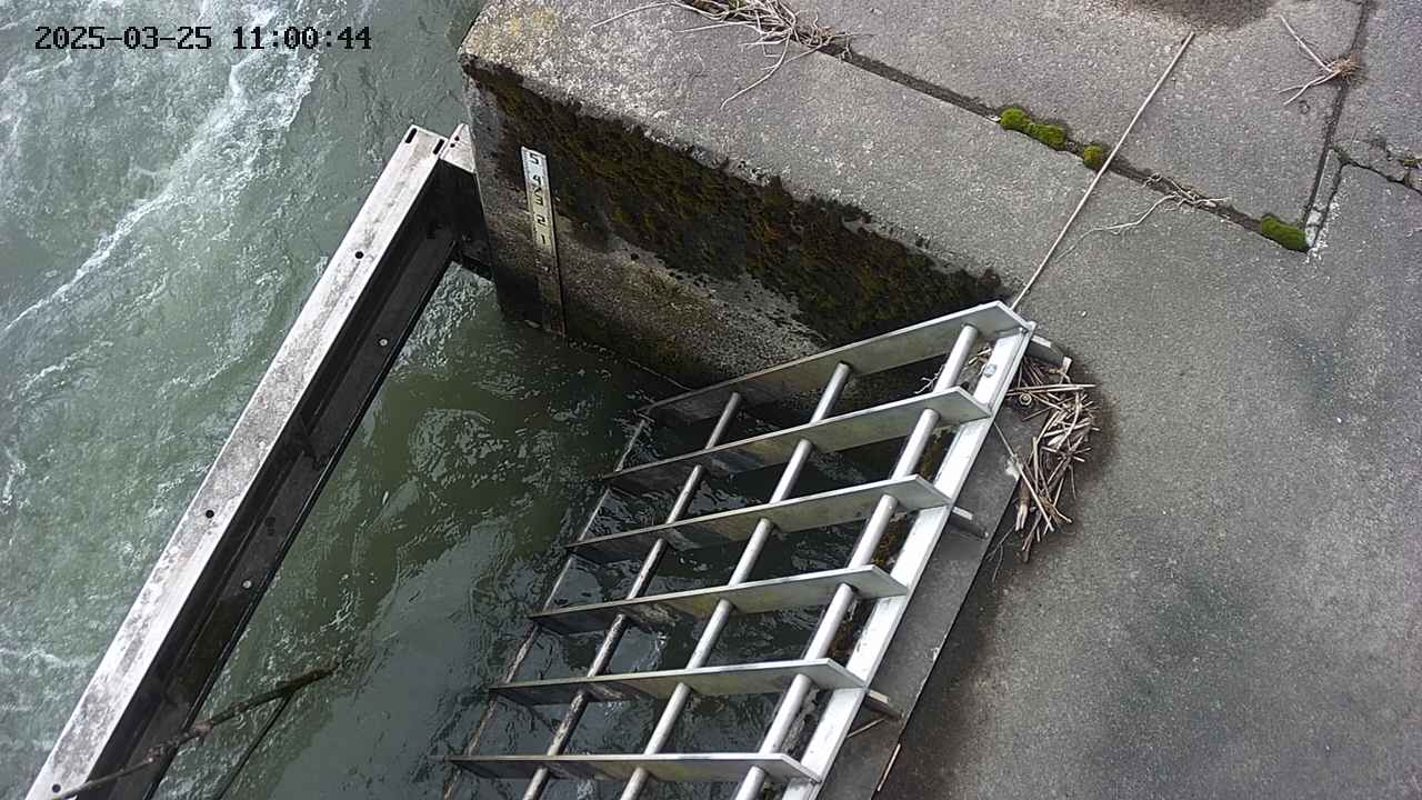 yamashirozeki3-20250325110044.jpg