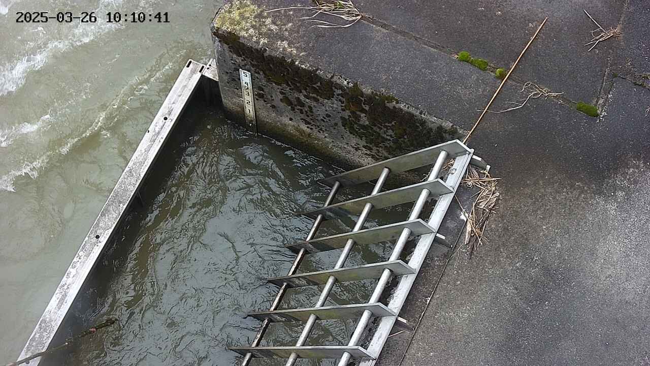 yamashirozeki3-20250326101043.jpg