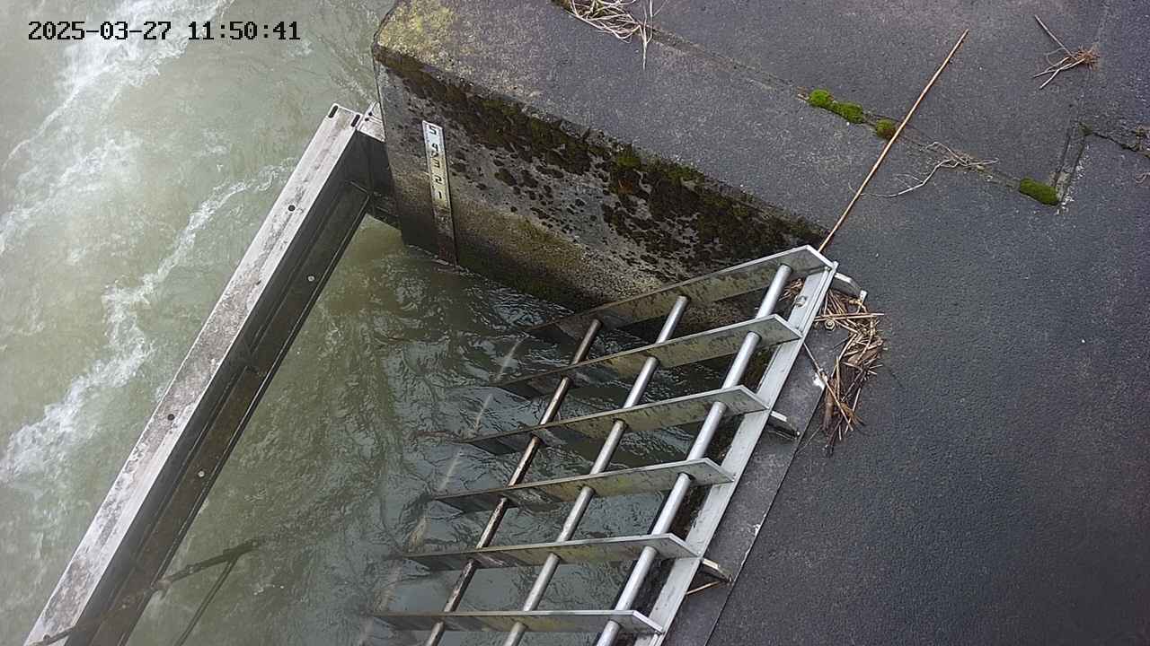 yamashirozeki3-20250327115041.jpg