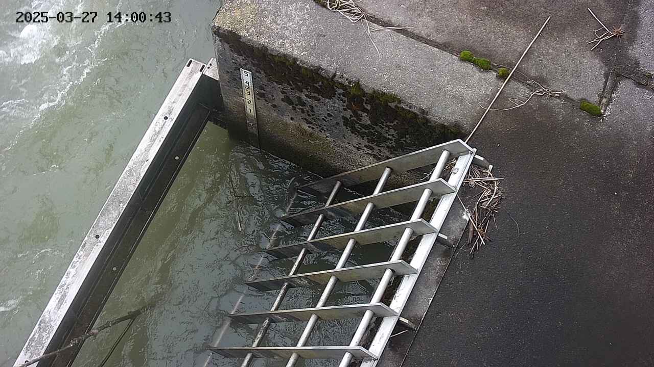 yamashirozeki3-20250327140043.jpg