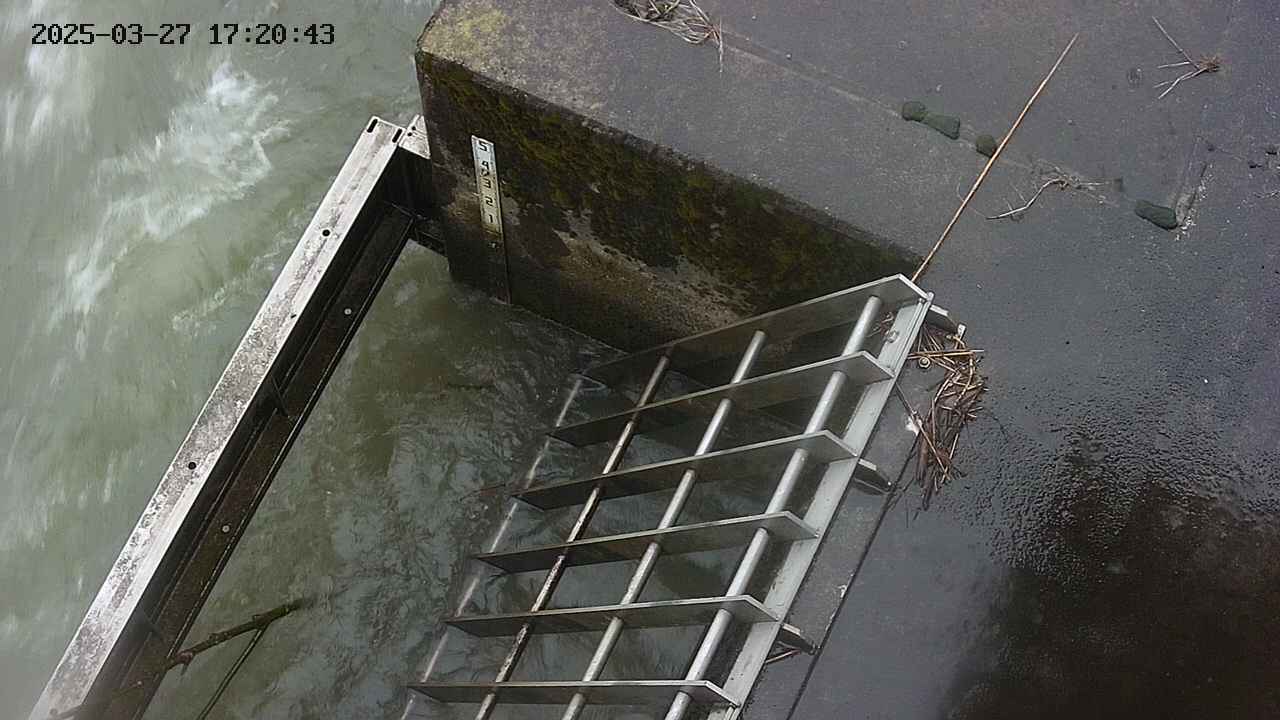 yamashirozeki3-20250327172044.jpg