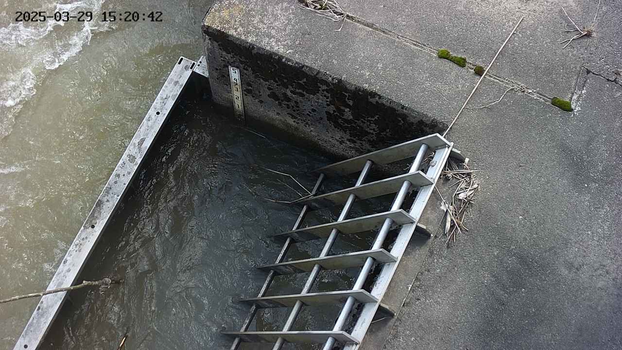 yamashirozeki3-20250329152042.jpg