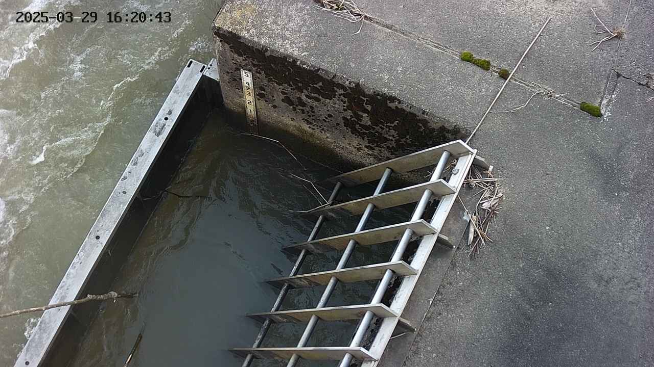 yamashirozeki3-20250329162044.jpg