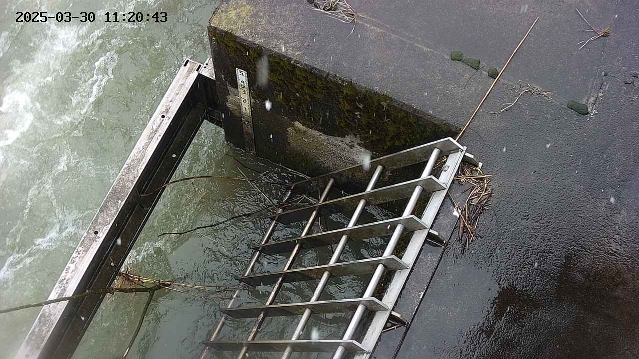 yamashirozeki3-20250330112044.jpg