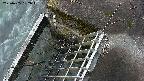 yamashirozeki3-20250405052046.jpg