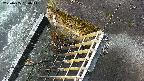 yamashirozeki3-20250405060043.jpg