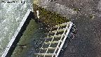 yamashirozeki3-20250409081043.jpg