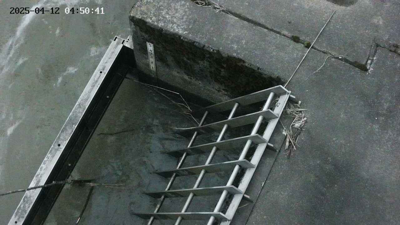 yamashirozeki3-20250412045042.jpg
