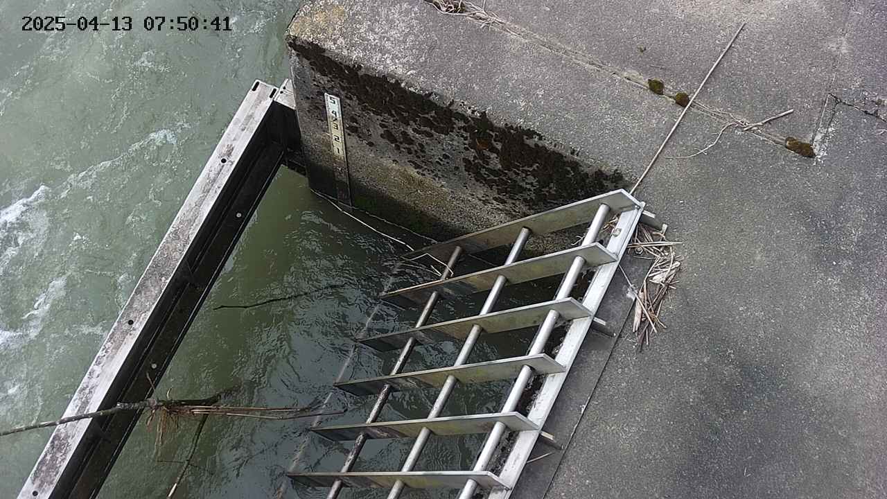 yamashirozeki3-20250413075043.jpg