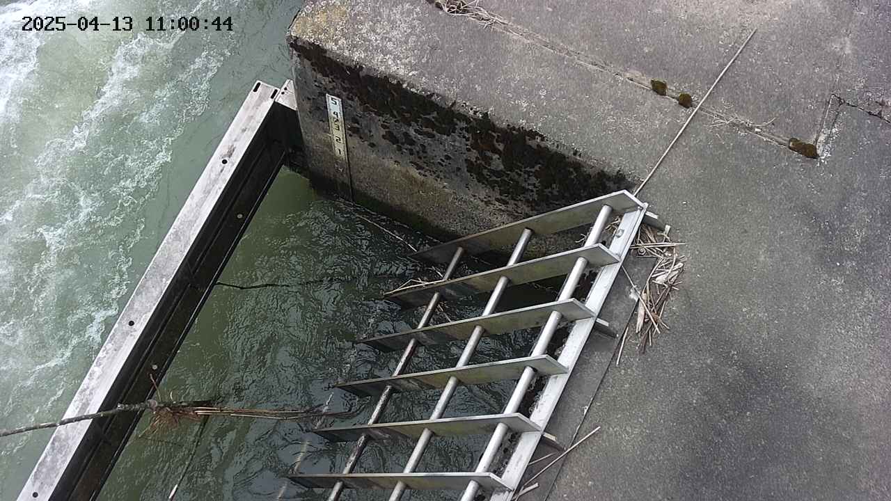 yamashirozeki3-20250413110045.jpg