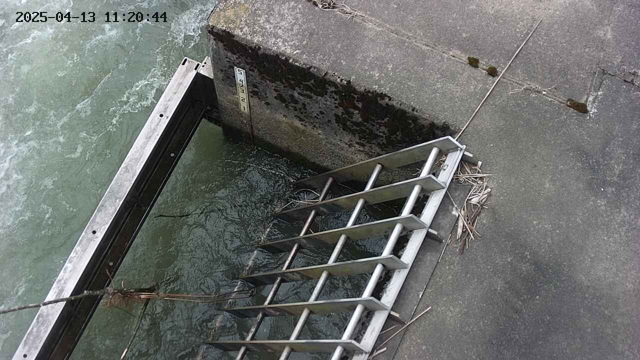 yamashirozeki3-20250413112045.jpg