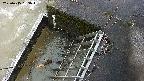 yamashirozeki3-20250415163043.jpg