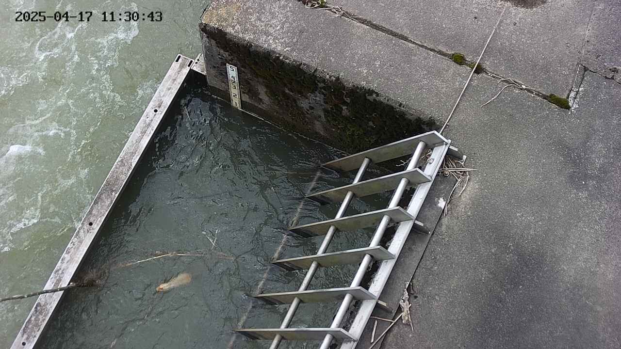 yamashirozeki3-20250417113043.jpg