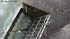 yamashirozeki3-20250417172046.jpg