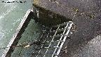 yamashirozeki3-20250417173041.jpg