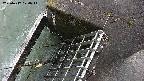 yamashirozeki3-20250417174045.jpg