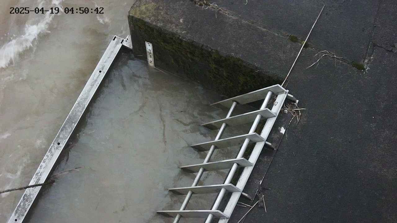 yamashirozeki3-20250419045043.jpg