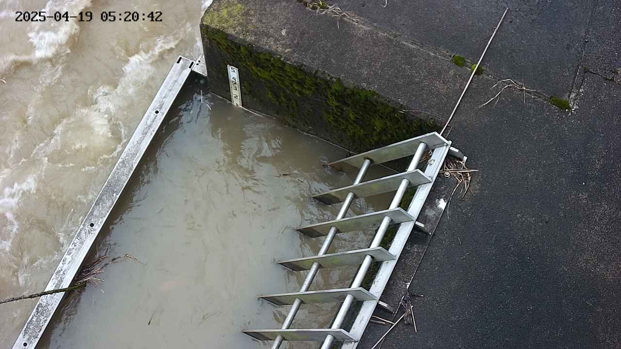 yamashirozeki3-20250419052043.jpg
