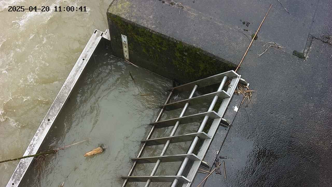 yamashirozeki3-20250420110042.jpg