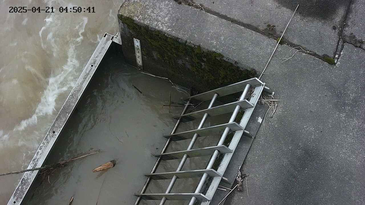 yamashirozeki3-20250421045043.jpg