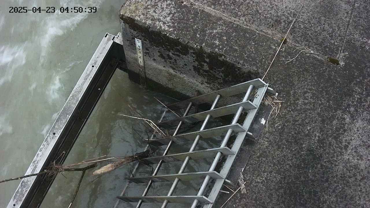yamashirozeki3-20250423045041.jpg