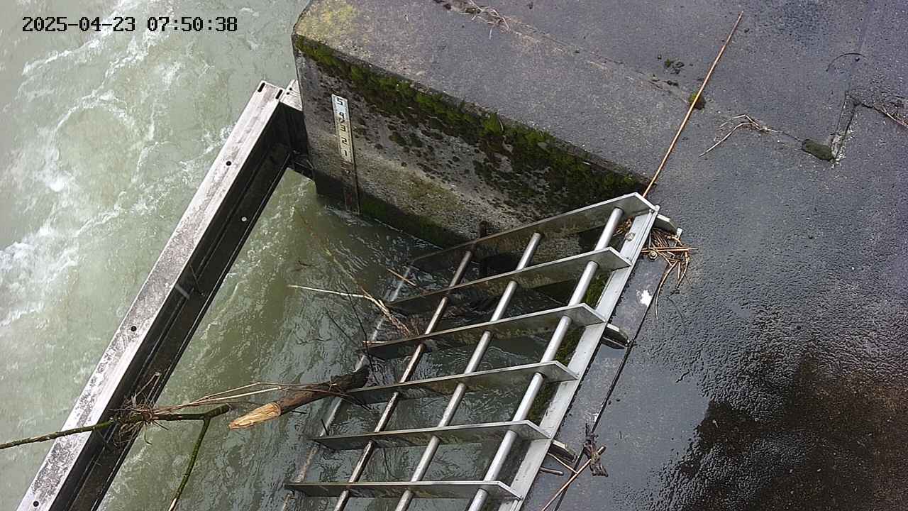yamashirozeki3-20250423075040.jpg